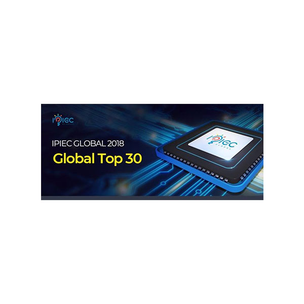 IPIEC Global top 30